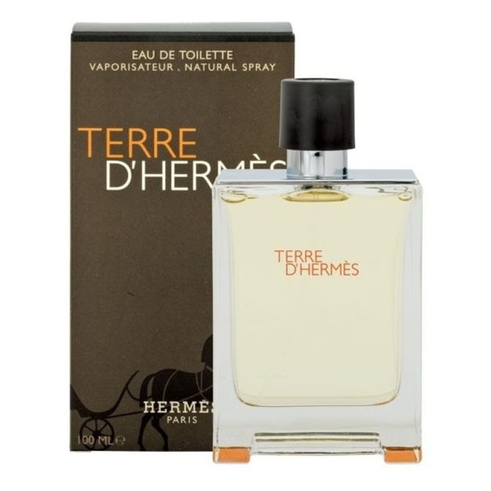 Hermes Terre D'Hermes For Men 100ml Eau de Toilette