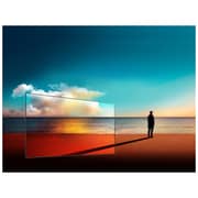 LG 65E7V UHD HDR 4K Smart OLED Television 65inch (2018 Model)