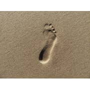 Canon PowerShot SX720 HS Digital Camera Red