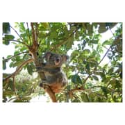 Nikon Coolpix W300 Digital Camera