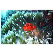 Nikon Coolpix W300 Digital Camera