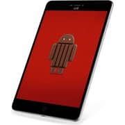 Ionik I748 Tablet - Android WiFi+3G 8GB 1GB 7.85inch Silver