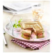 مولونيكس جهاز تحضير الساندويتش