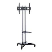 Bluetek Floor Stand T1021S