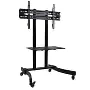 Bluetek Floor Stand BT CT 194