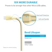 Anker Powerline Plus Micro USB Nylon Braided Cable 1.8m Gold - A8143HB1 