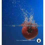 Canon 430EXIIIRT Flash Speedlite