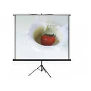 Anchor Tripod Projector Screen