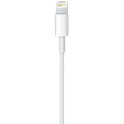 Apple MD818ZM/A Lightning To USB Cable