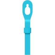 Apple MD974MTR IPod Touch Loop Blue