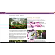 Microsoft KW900018 Windows Home 10 Software + P3Q00005 Wireless Display Adapter v2