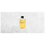 Davidoff Silver Shadow Perfume For Men 100ml Eau de Toilette