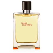 Hermes Terre De Hermes Perfume For Men 200ml Eau de Toilette