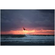 Nikon AFS 70-200mm F/2.8E FL ED VR Nikkor Lens