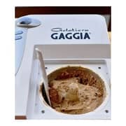 Gaggia Ice Cream Maker RI910108