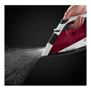 Russell Hobbs Steam Iron 22520