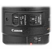 Canon EF 70-300mm IS USM Lens