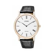 Citizen AR1113-12B Men's Watch