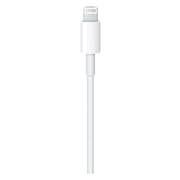 Apple MQGJ2ZM/A Lightning to USB-C Cable 1m