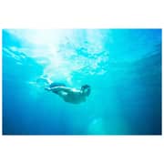 Sony WF-SP900 Sports Wireless Headphones Black