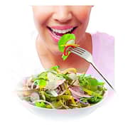 Philips Salad Maker HR1388