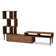 Winchester Mid-Century Modern TV Stand in Walnut Color