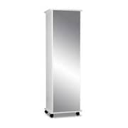 Mirrored Shoe Cabinet in White Color