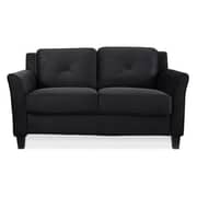 Harvard Loveseat in Black Color