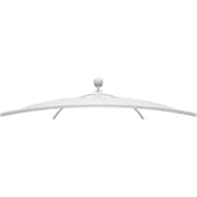 LG 38WK95C-W UltraWide WQHD+ IPS Curved LED Monitor (37.5