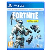 PS4 Fortnite Deep Freeze Bundle