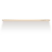 iPad (2017) WiFi 128GB 9.7inch Silver