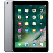 iPad (2017) WiFi+Cellular 32GB 9.7inch Space Grey