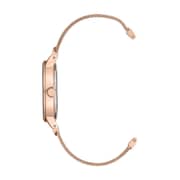 Anne Klein AK3220RGRG Rose Gold Quartz Ladies Watch