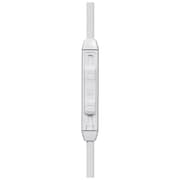 Skullcandy Strum Earphone White/Black/Chrome With Mic S2SUHX379
