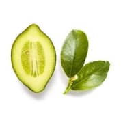 Armani Acqua Di Gio Ia EDP For Ladies 100ml