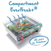 Beko Bottom Freezer 505 Litres RCNE520E20ZGB