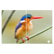 Sony E 10-18mm f/4 OSS Lens SEL1018