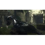 PS4 Last Guardian Game
