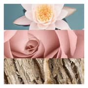 Calvin Klein 3614223179466 Deep Euphoria EDT Women 100ml