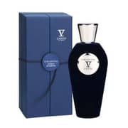V Canto Cor Gentile Perfume For Unisex 100ml EDP