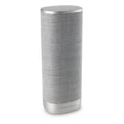 Harman Kardon Citation Surround Speaker - Grey