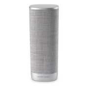 Harman Kardon Citation Surround Speaker - Grey