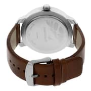 Fastrack 3120SL01 Mens Watch Brown