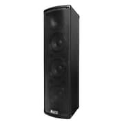 Alto Professional Trouper Public Adress Speaker System