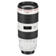 Canon EF 70-200mm f/2.8L IS III USM Lens