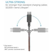 Native Union Belt Cable USB C Type Cable 3m
