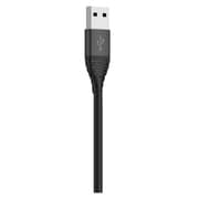 Riversong Alpha S Type C Cable 1m Black