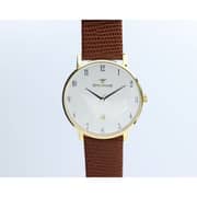 Spectrum Truth Seeker Stainless Steel Men's Brown Watch - 23071M-1