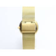 Spectrum Creative Mesh Band Men's Gold Watch - S15036M-2
