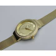 Spectrum Explorer Mesh Band WOMEN's Gold Watch - S25177L-1